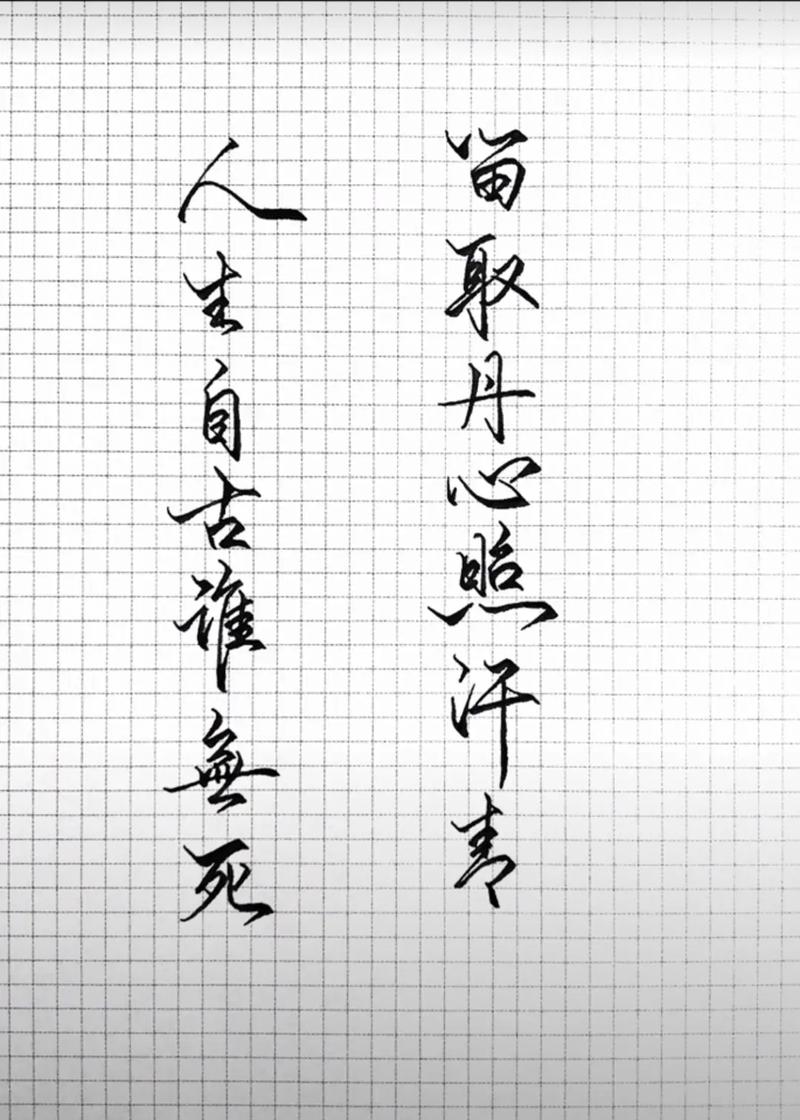 人生自古谁无死 第1张 人生自古谁无死 第1张