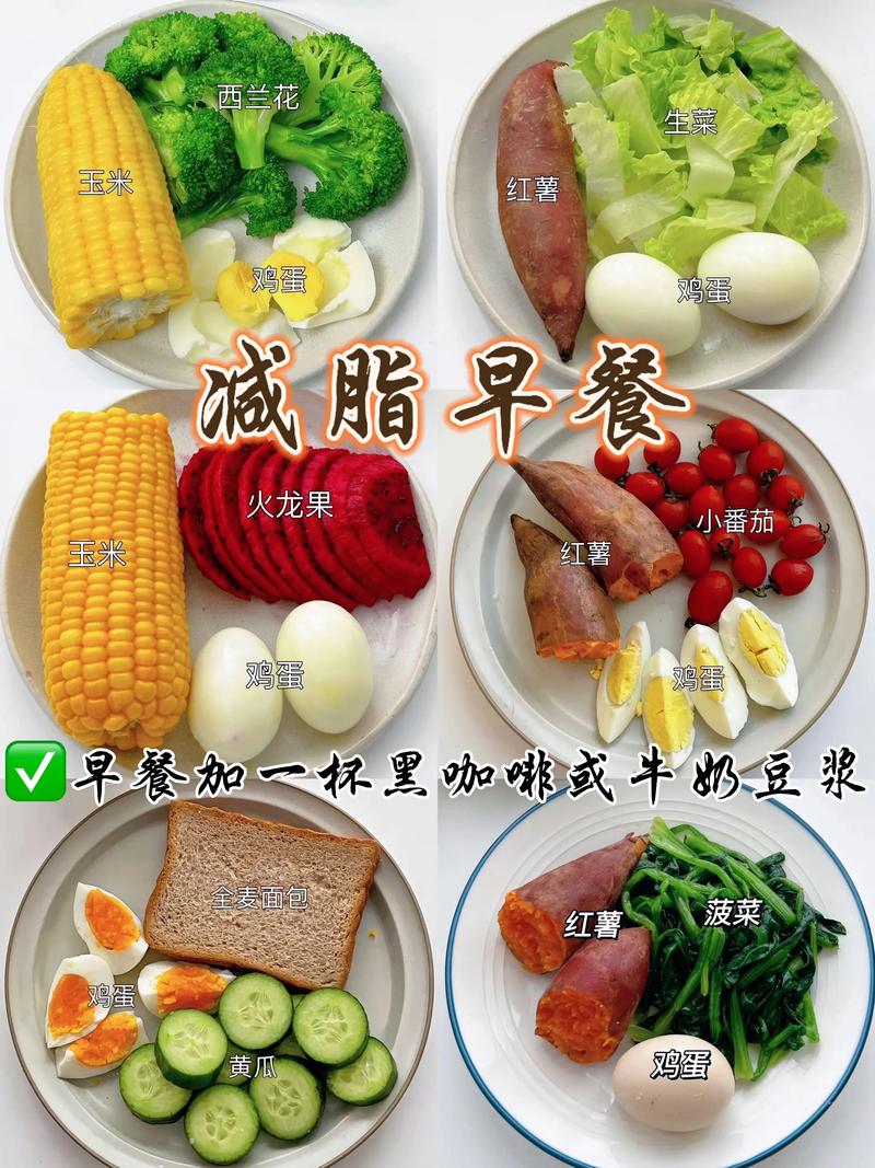 每天6顿饭有助减肥是真的吗  第1张