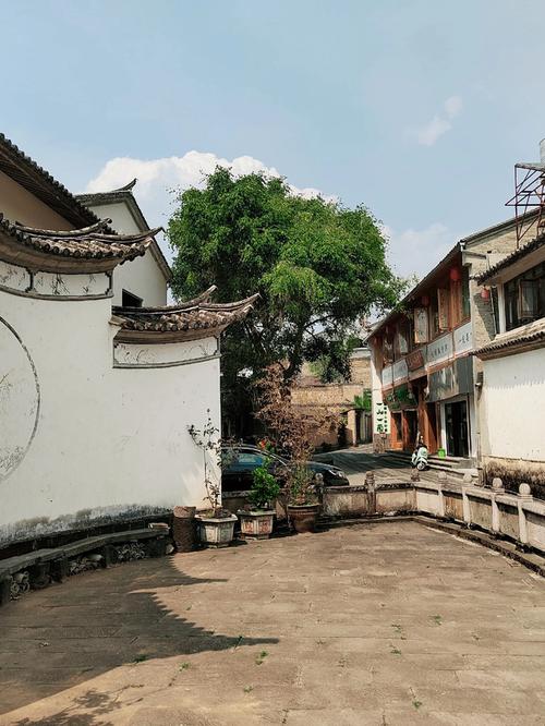 不跟风  第1张