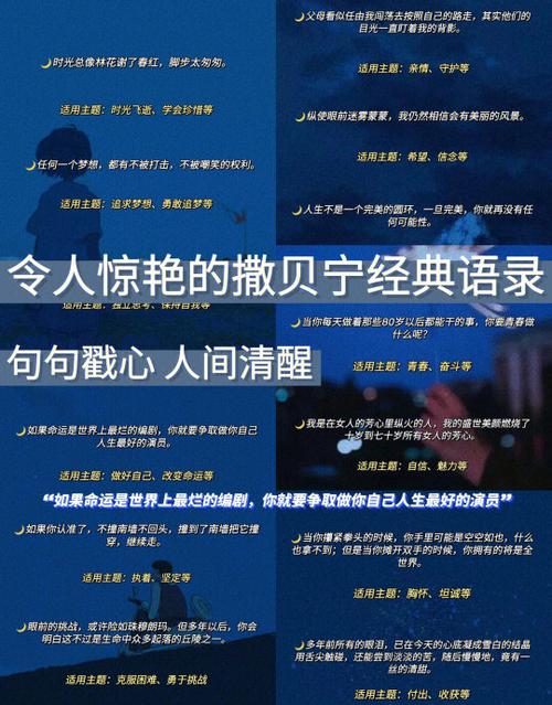 撒贝宁语录 第1张 撒贝宁语录 第1张