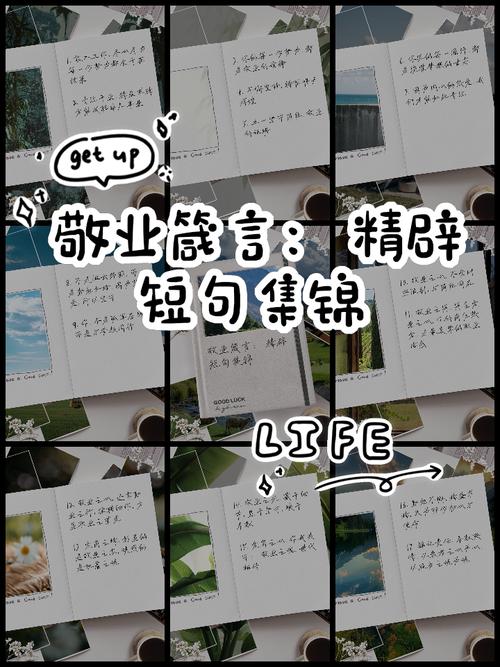 素材积累：形容默默奉献的诗句  第1张