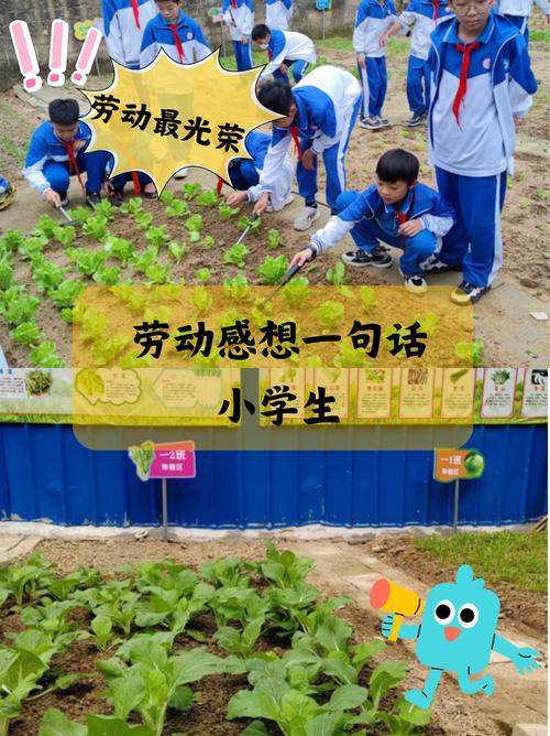 享劳动之乐，悟劳动之美——石桥小学劳动教育篇  第1张