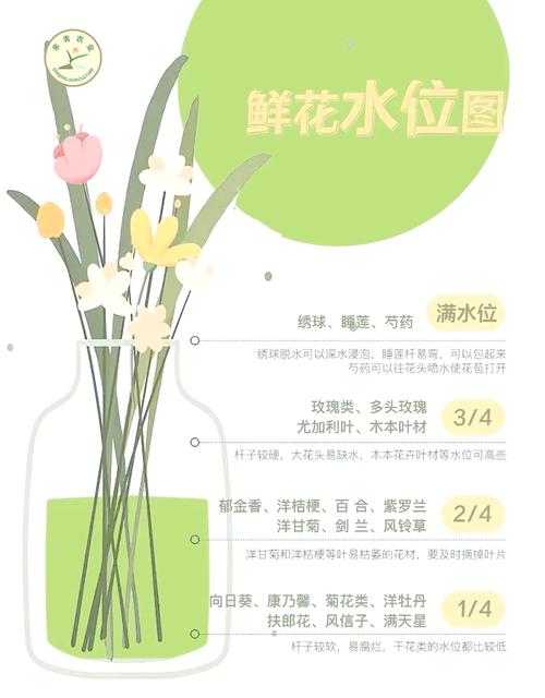 延长鲜花保鲜期的保养方法 第1张 延长鲜花保鲜期的保养方法 第1张