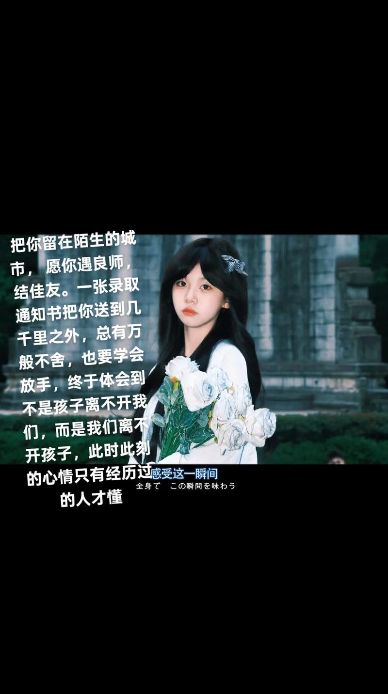 愿你，在陌生的城市，心有慰藉！  第1张