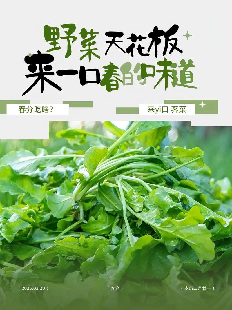 寻味 | 春食野菜,尝遍人间味 第1张 寻味 | 春食野菜,尝遍人间味 第1张