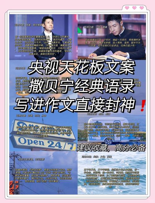 语录｜“央视男神”撒贝宁：若你决定灿烂，山无遮，海无拦  第1张