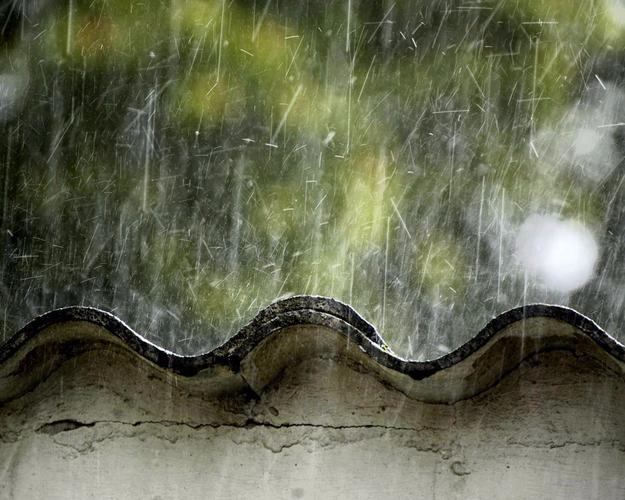 久违的雨 第1张 久违的雨 第1张