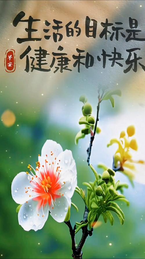 人生在世，快乐是目的，健康才是第一  第1张