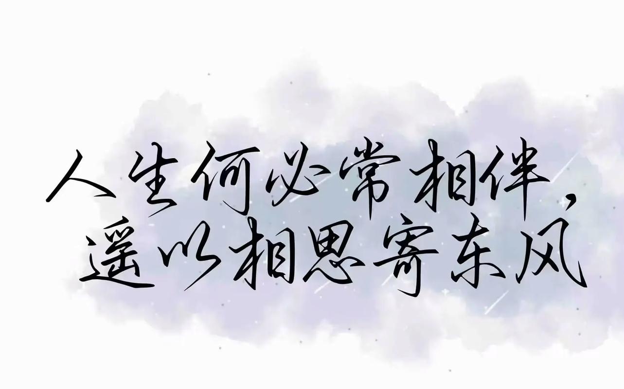 等一人,相伴余生,念一人,思念永恒 第1张 等一人,相伴余生,念一人,思念永恒 第1张