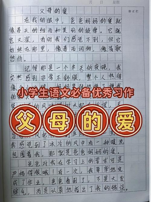 爱的伟大 第1张 爱的伟大 第1张