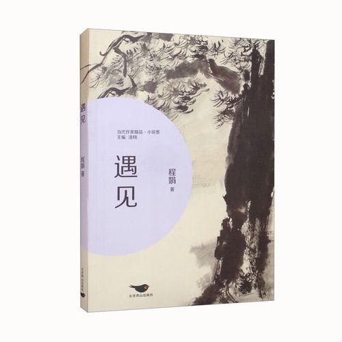 遇见，遇见  第1张