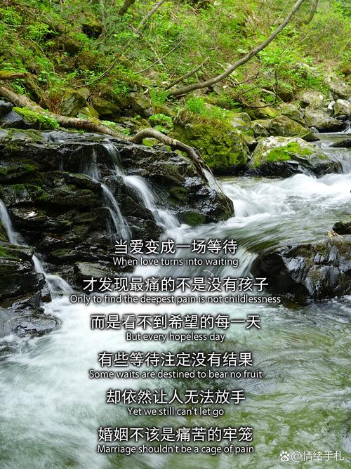 等待希望 第1张 等待希望 第1张