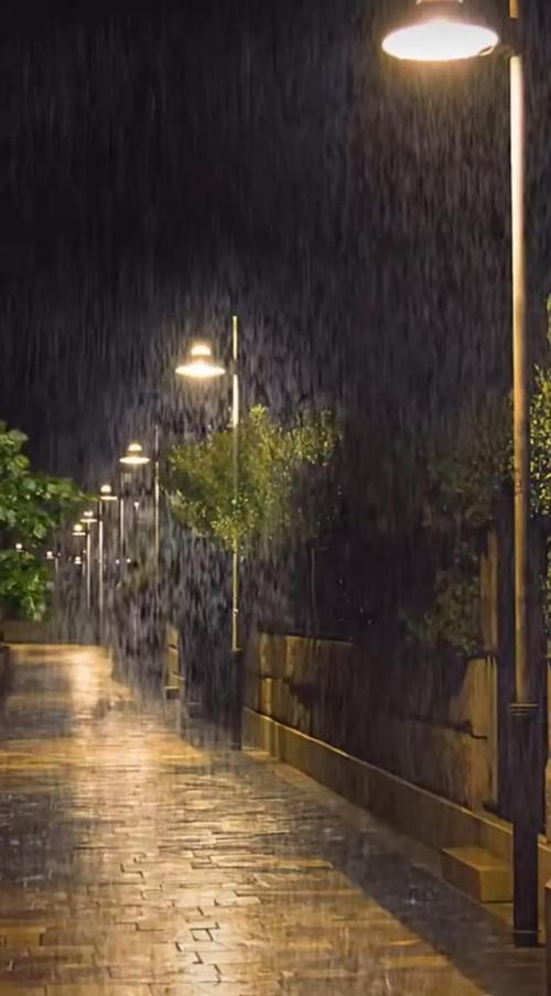 倾听雨声，在未央的夜里  第1张