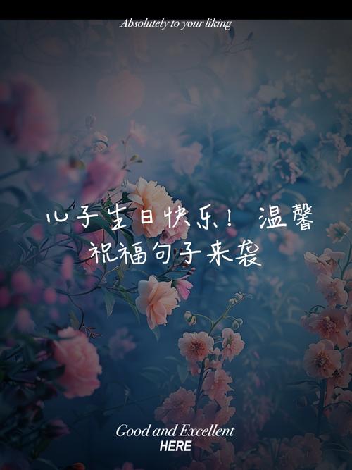 独特创意的儿子生日文案,定格美好时光 第1张 独特创意的儿子生日文案,定格美好时光 第1张