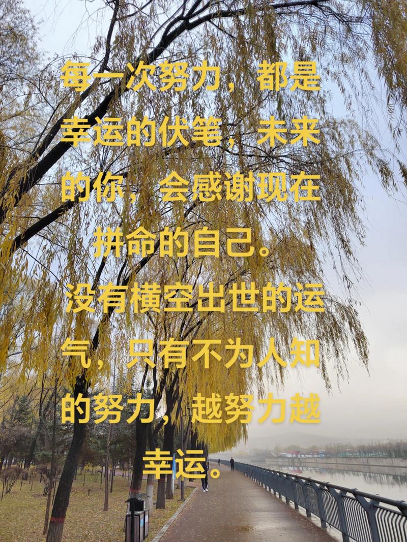 人生感悟的句子,走自己的道路,越努力越幸运 第1张 人生感悟的句子,走自己的道路,越努力越幸运 第1张