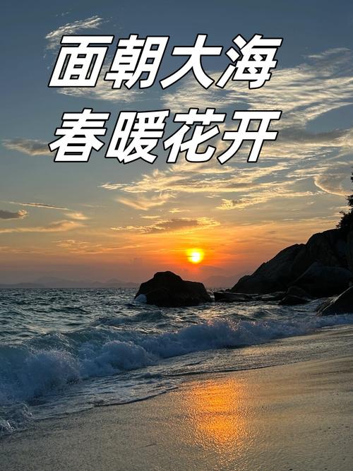 面朝大海心向阳开  第1张