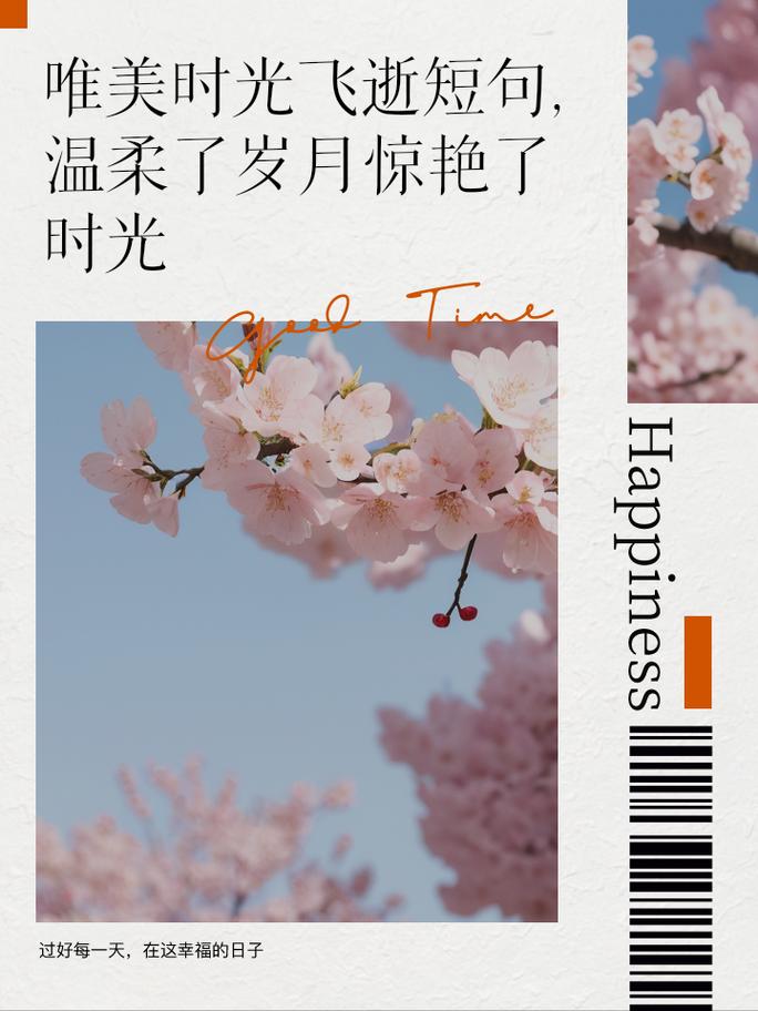 你陪我惊艳时光,我随你温柔岁月 第1张 你陪我惊艳时光,我随你温柔岁月 第1张