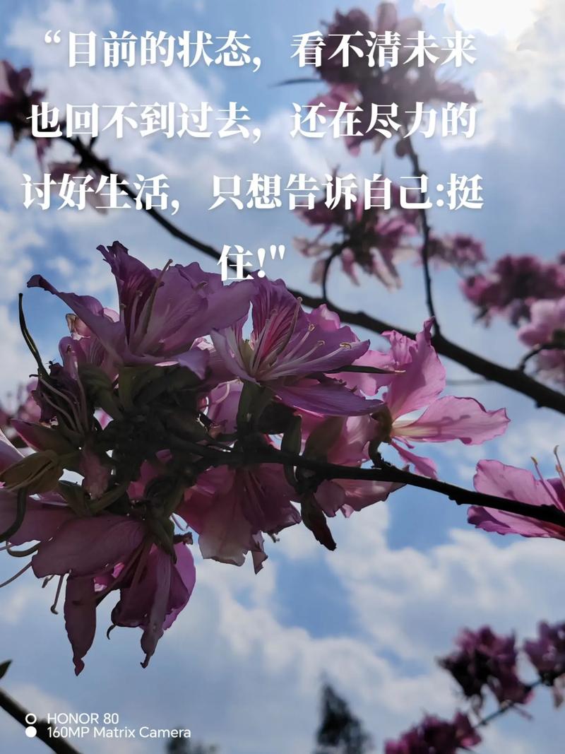 坚强,不是面对悲伤不流泪,而是擦干眼泪后微笑着面对以后的生活 第1张 坚强,不是面对悲伤不流泪,而是擦干眼泪后微笑着面对以后的生活 第1张