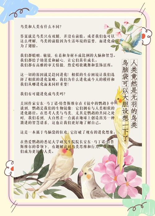 残疾小鸟的励志故事 第1张 残疾小鸟的励志故事 第1张