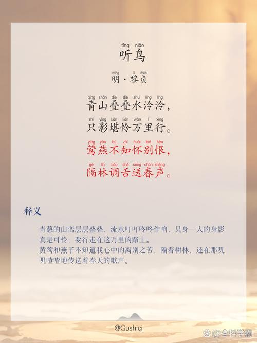 原创诗歌:受伤的鸟——为音乐《受伤的鸟》而写 第1张 原创诗歌:受伤的鸟——为音乐《受伤的鸟》而写 第1张