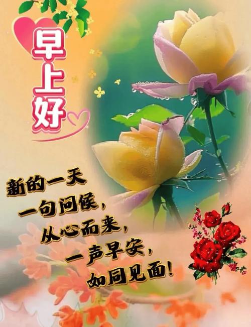 每日早上好问候语 早起第一声问候的句子 第1张 每日早上好问候语 早起第一声问候的句子 第1张