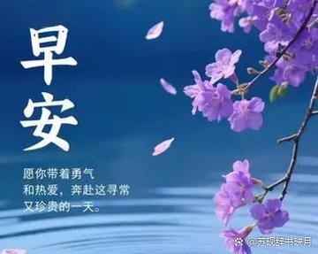 携一缕花香,温润时光;伴一束暖阳,岁月无恙 第1张 携一缕花香,温润时光;伴一束暖阳,岁月无恙 第1张
