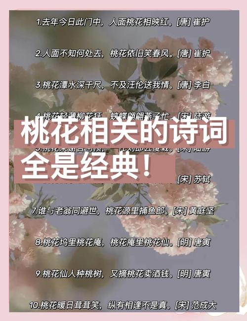 桃花不伤春流逝，古诗文里灼芳华  第1张