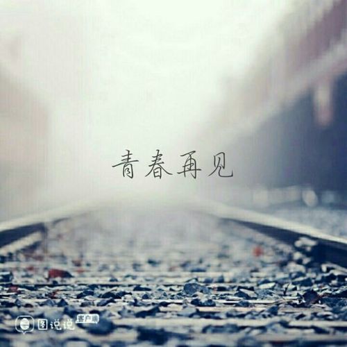再见青春,再见美丽的爱情 第1张 再见青春,再见美丽的爱情 第1张