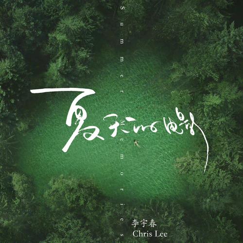 夏天，说声我爱你  第1张