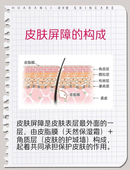 人人有它，藏在皮下，用来保温，还能防压。 （打一人体组织）  第1张