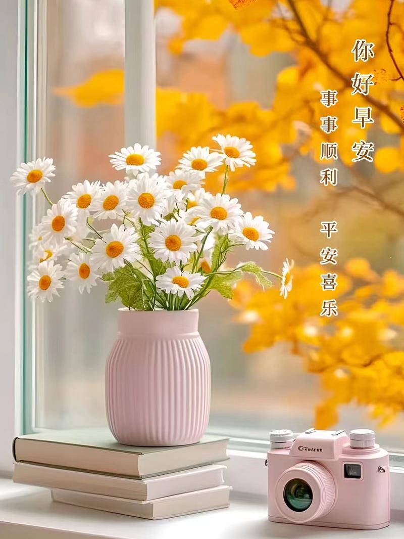 不落俗套的早安短句,温暖治愈,你最喜欢哪句 第1张 不落俗套的早安短句,温暖治愈,你最喜欢哪句 第1张