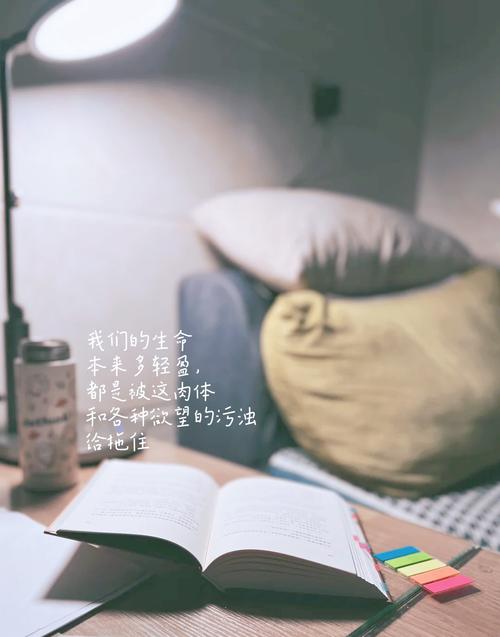 《皮囊》最经典10句话:字字珠玑,成年人的世界没有“容易”二字 第1张 《皮囊》最经典10句话:字字珠玑,成年人的世界没有“容易”二字 第1张