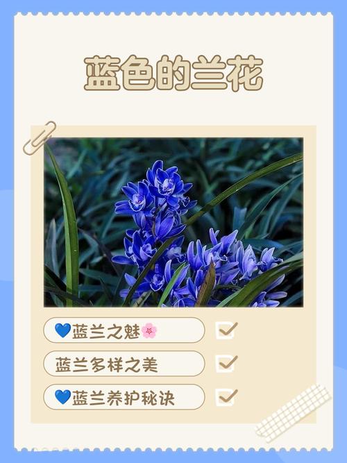 花花草草也是爱,万花盛绽见天蓝 第1张 花花草草也是爱,万花盛绽见天蓝 第1张