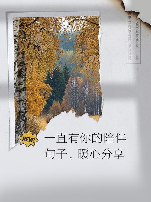 最好的陪伴是:你在,我在,一直在 第1张 最好的陪伴是:你在,我在,一直在 第1张