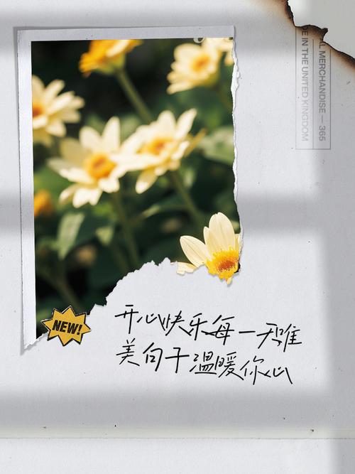 开开心心看句子,快快乐乐每一天 第1张 开开心心看句子,快快乐乐每一天 第1张