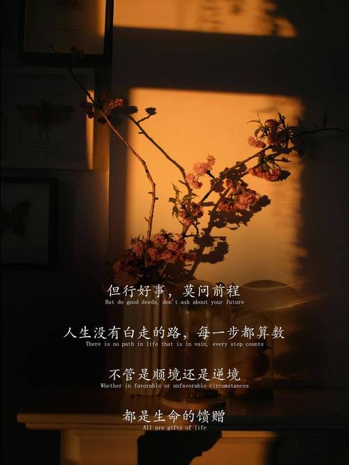 沈从文20句经典语录，治愈心灵，遇见更好的人生  第1张
