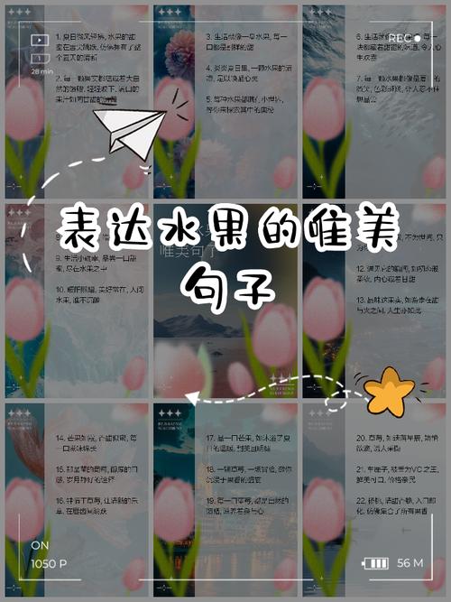 果子语录:一百一十六 第1张 果子语录:一百一十六 第1张