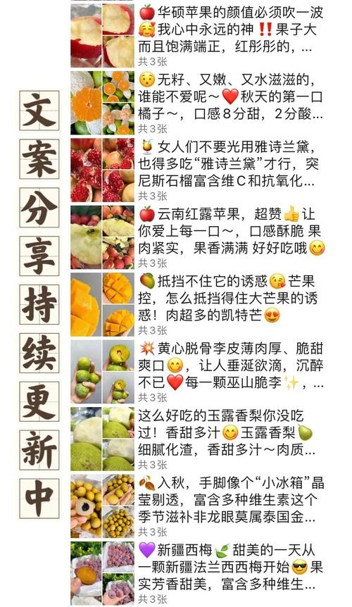 果子语录:一百零二 第1张 果子语录:一百零二 第1张
