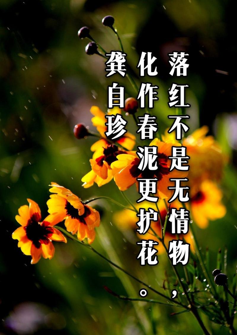 身后几度春 （打一字）  第1张