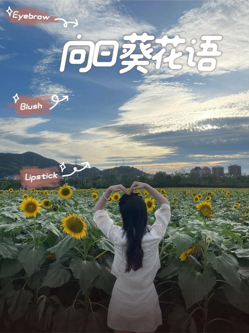 向阳而生,自有海阔天空,万千繁花 第1张 向阳而生,自有海阔天空,万千繁花 第1张