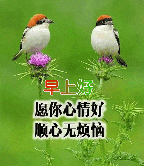 朋友圈唯美早上好祝福图片带字，超幸福暖心早安漂亮祝福动态美图  第1张