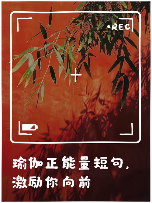 20 句话,照亮你的瑜伽之路…… 第1张 20 句话,照亮你的瑜伽之路…… 第1张