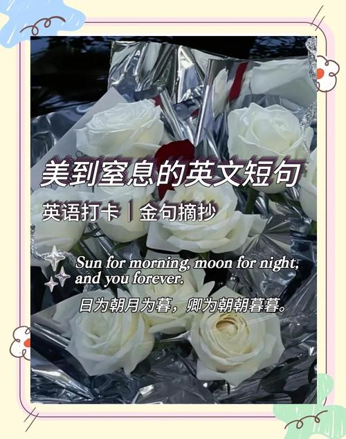 简单却唯美的英语句子 第1张 简单却唯美的英语句子 第1张