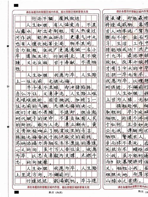 步步合理谋划，方能行稳致远___写作指导  第1张