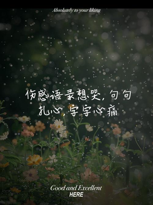 扎心语录，句句入魂2  第1张
