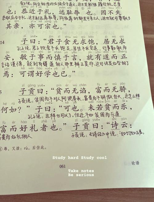 以诗书充饥 （打一成语）  第1张