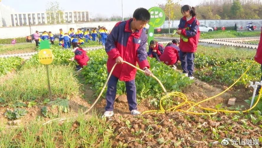 安远县东江源小学:劳动基地勤耕耘 绿意盎然喜丰收 第1张 安远县东江源小学:劳动基地勤耕耘 绿意盎然喜丰收 第1张