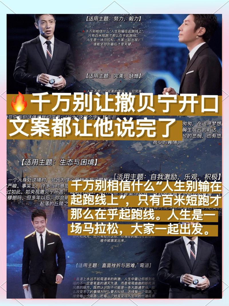 撒贝宁经典语录 第1张 撒贝宁经典语录 第1张