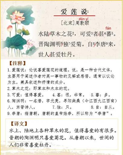 荷花为什么会“出淤泥而不染”,武汉初中生对照《爱莲说》去探秘 第1张 荷花为什么会“出淤泥而不染”,武汉初中生对照《爱莲说》去探秘 第1张