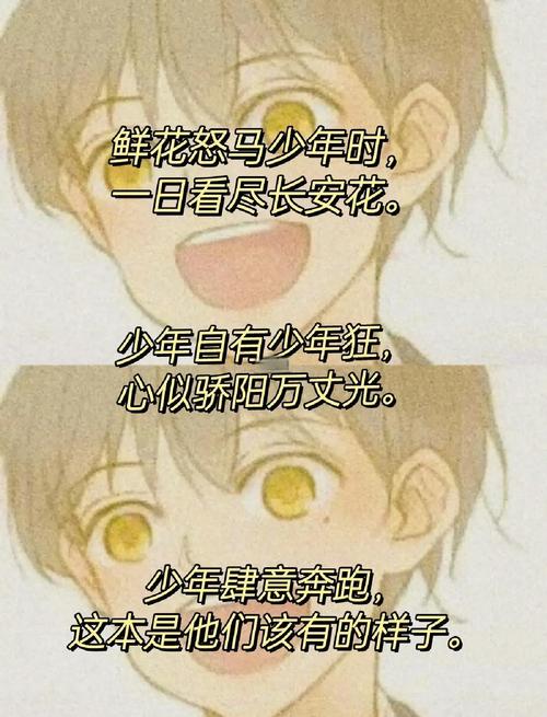 有哪些意气风发，有少年感的句子？  第1张